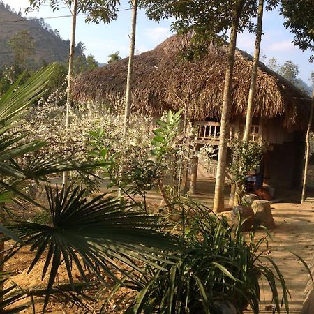 شقة Sa House Bac Ha المظهر الخارجي الصورة