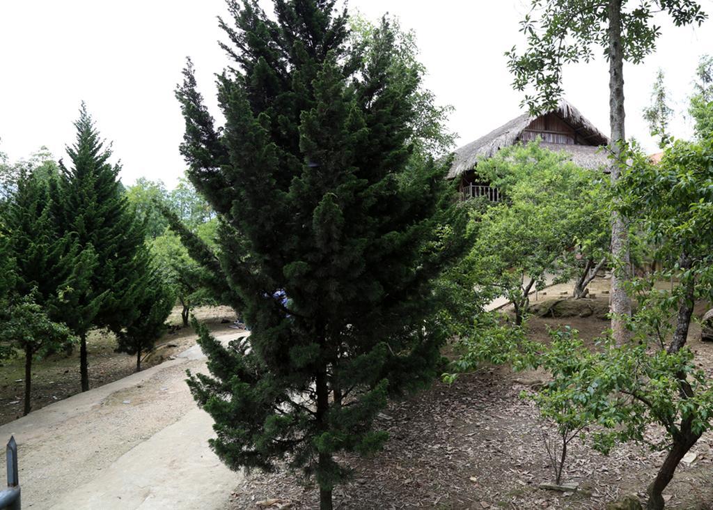 شقة Sa House Bac Ha المظهر الخارجي الصورة