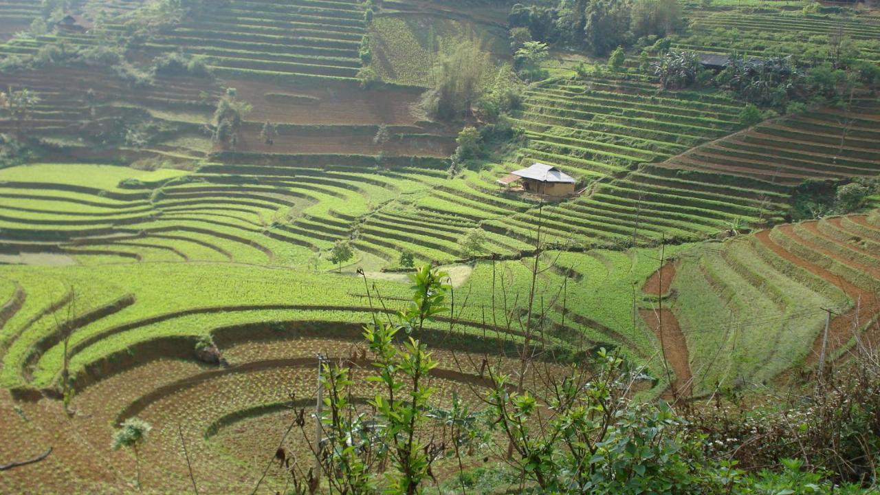 شقة Sa House Bac Ha المظهر الخارجي الصورة