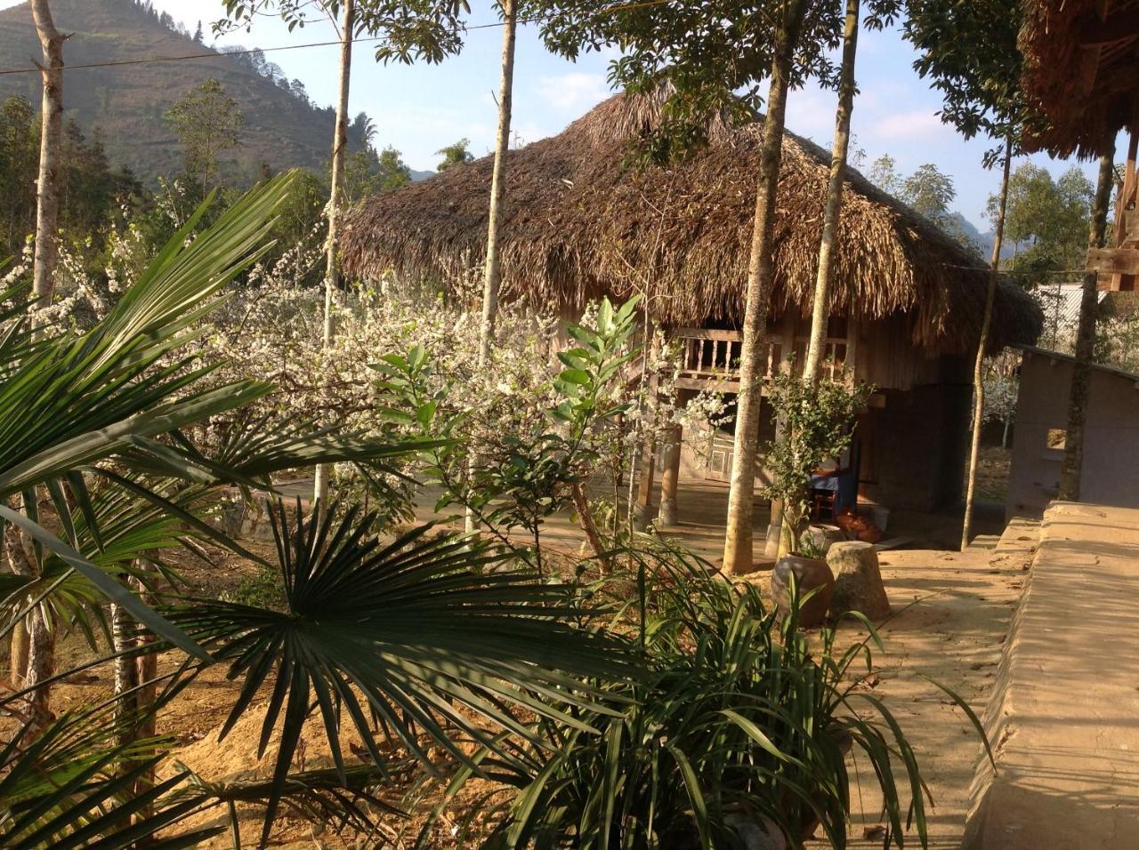 شقة Sa House Bac Ha المظهر الخارجي الصورة