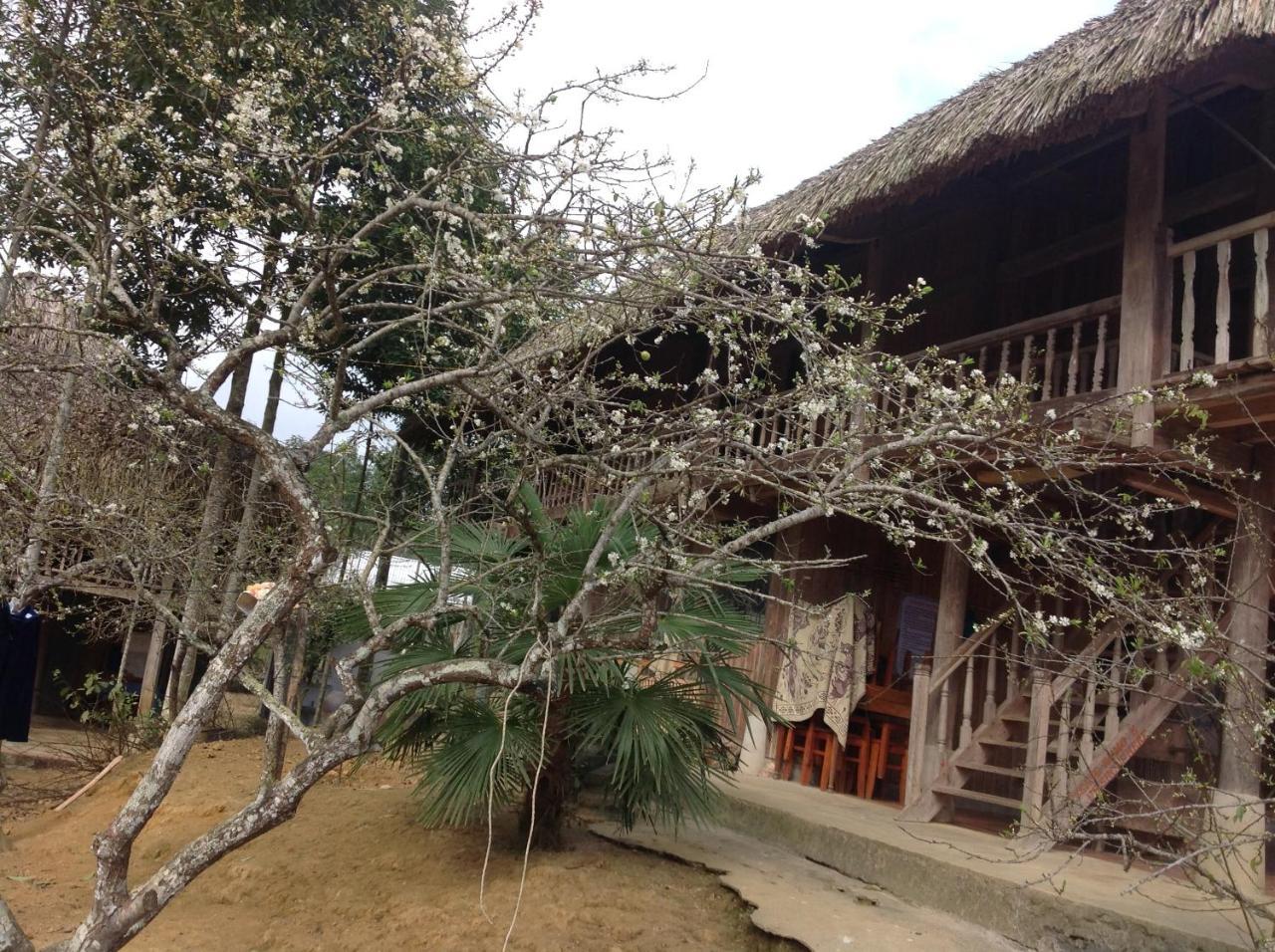 شقة Sa House Bac Ha المظهر الخارجي الصورة