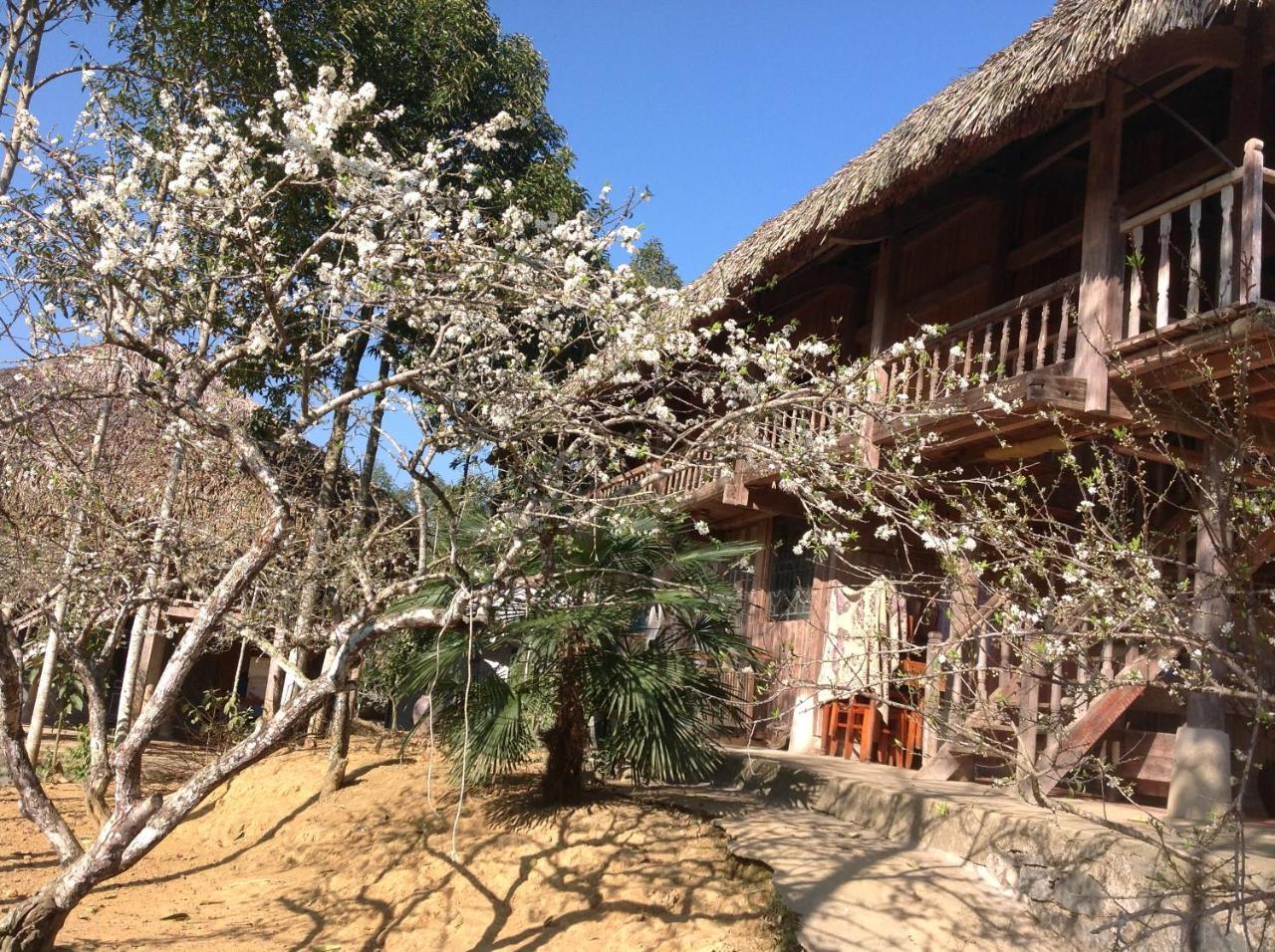 شقة Sa House Bac Ha المظهر الخارجي الصورة