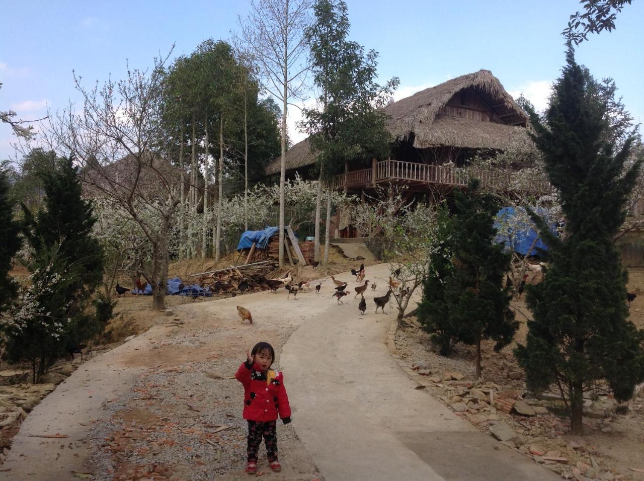 شقة Sa House Bac Ha المظهر الخارجي الصورة