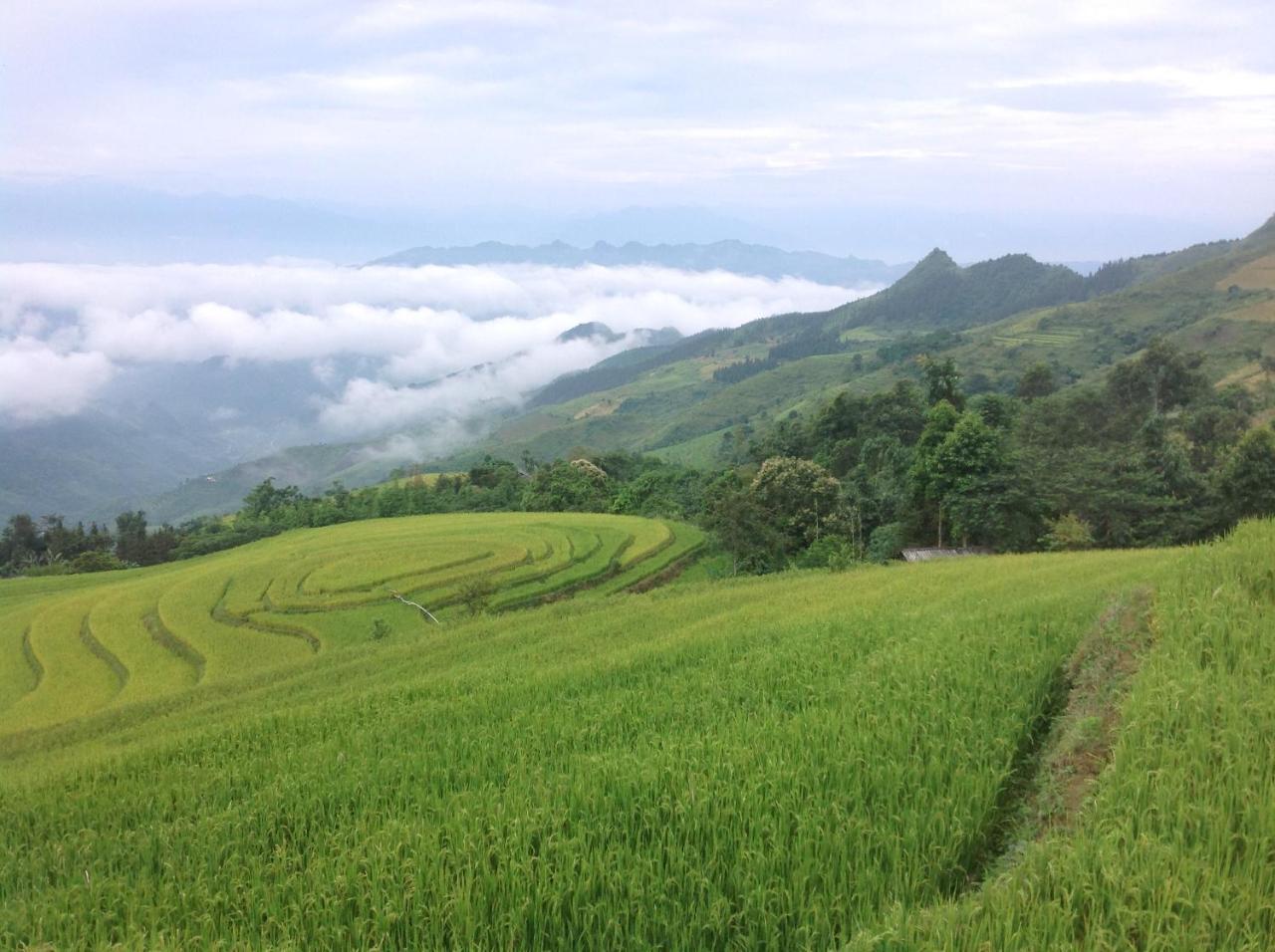 شقة Sa House Bac Ha المظهر الخارجي الصورة