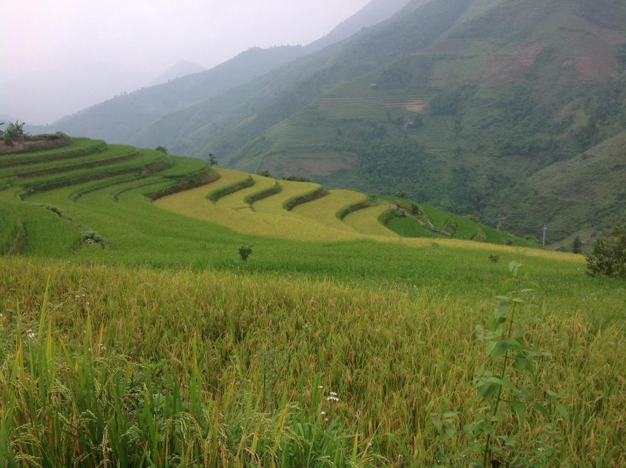 شقة Sa House Bac Ha المظهر الخارجي الصورة