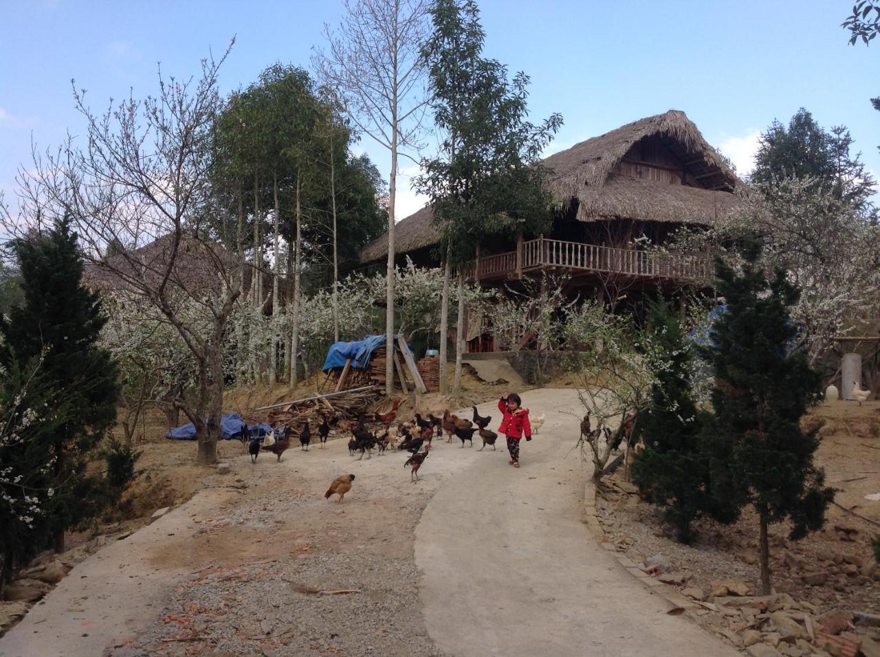 شقة Sa House Bac Ha المظهر الخارجي الصورة