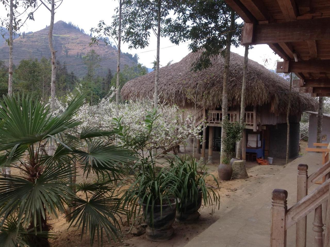 شقة Sa House Bac Ha المظهر الخارجي الصورة