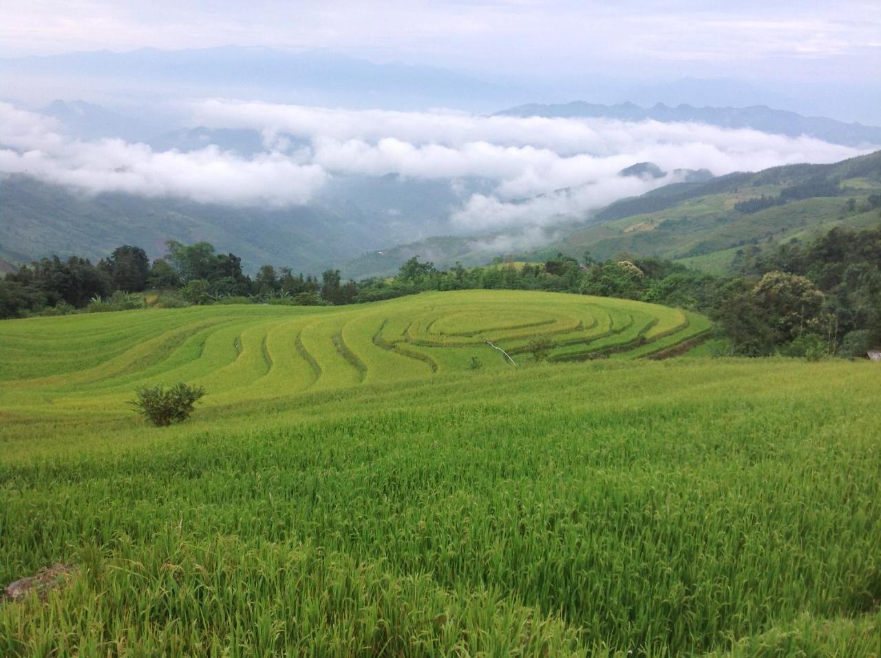 شقة Sa House Bac Ha المظهر الخارجي الصورة