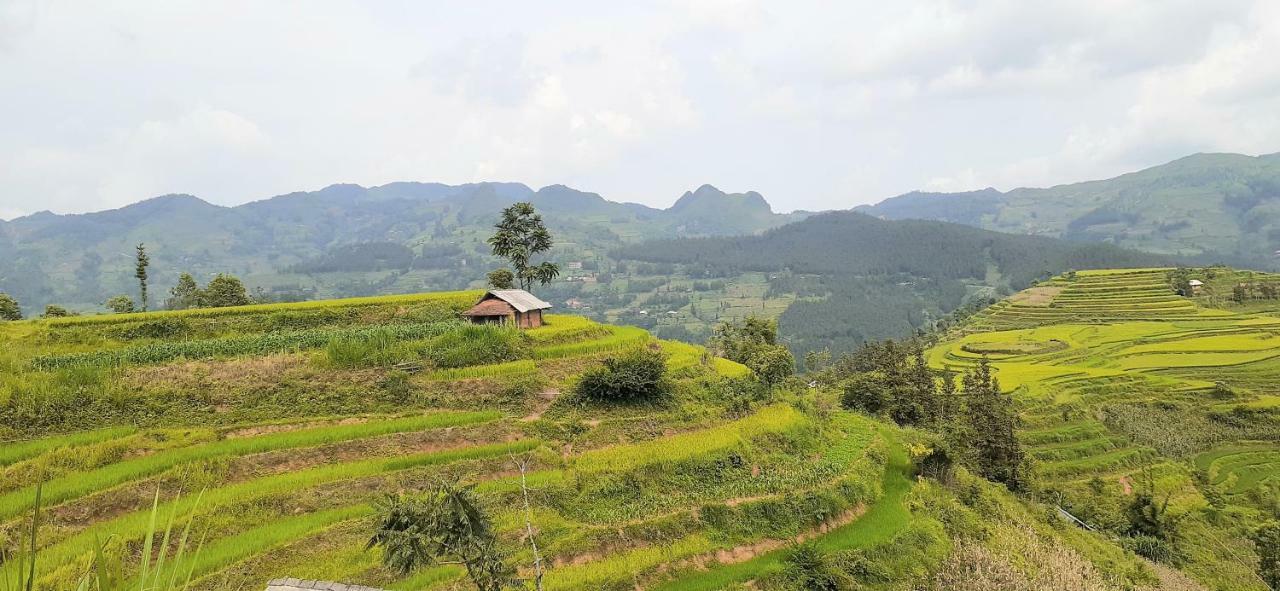 شقة Sa House Bac Ha المظهر الخارجي الصورة