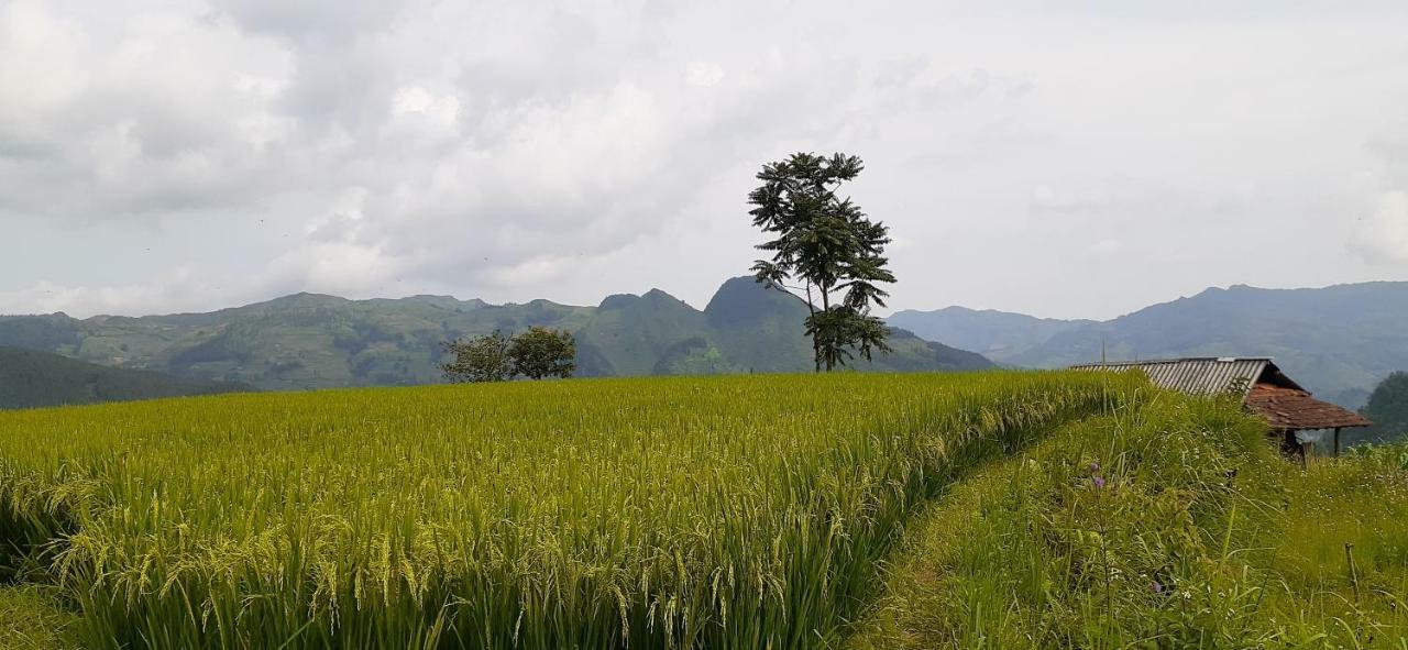شقة Sa House Bac Ha المظهر الخارجي الصورة